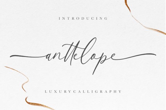 Anttelope: A Luxurious Calligraphy Font for Elegant Branding