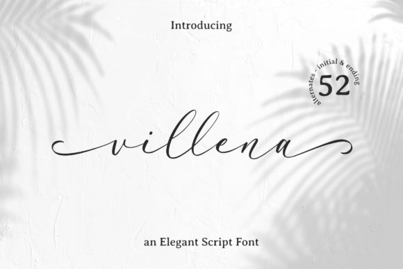 Elevate Your Brand with Villena: A Premium Script Font