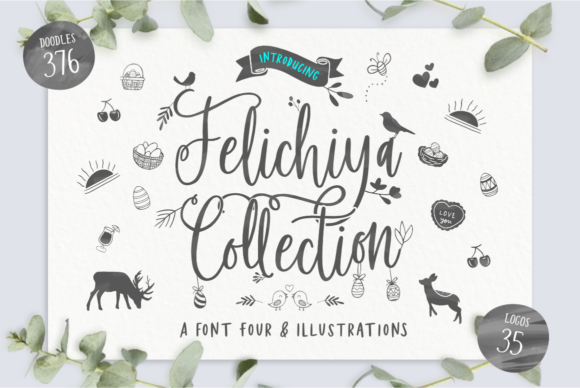 Elevate Your Campaigns with Felichiya Collection Font
